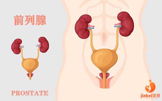 卵巢早衰代孕包成功-广州代孕找什么人合适_慢性前列腺炎能治好吗 慢性前列腺